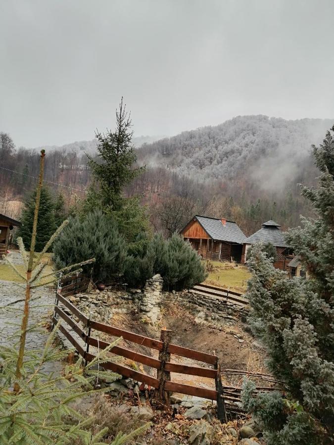 Stara Khata карпати 3* ששורי