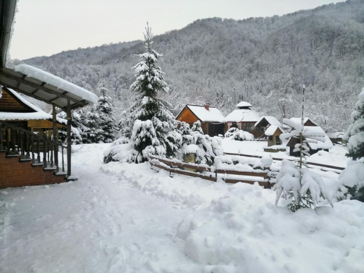 Stara Khata карпати 招待所