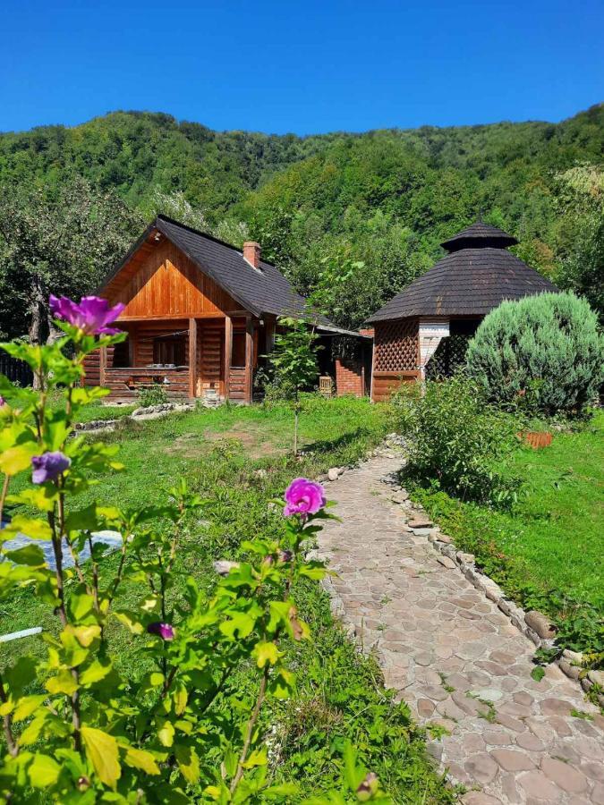 Pensjonat Stara Khata карпати 3*