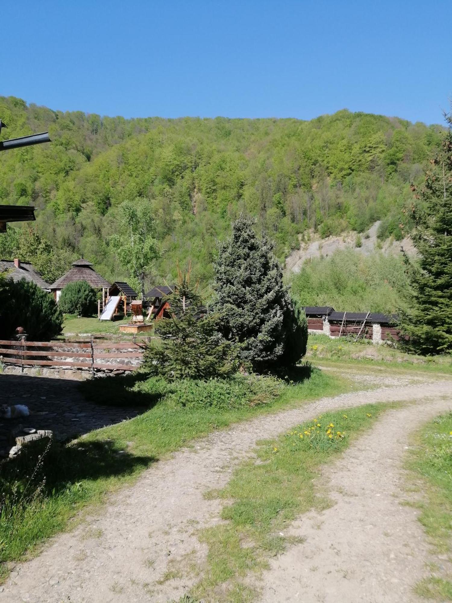 Stara Khata карпати 3*