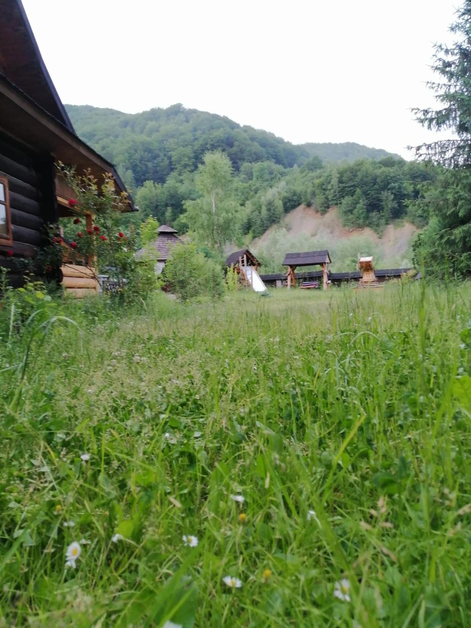 Pensjonat Stara Khata карпати 3*